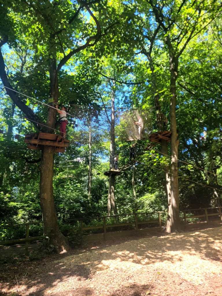 MicrosoftTeams Image 38