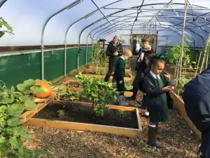 MicrosoftTeams Image 11 1