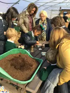 MicrosoftTeams Image 12 1