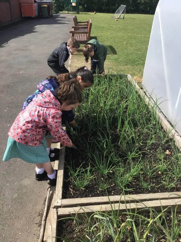 MicrosoftTeams Image 19