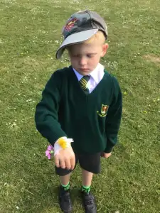 MicrosoftTeams Image 2