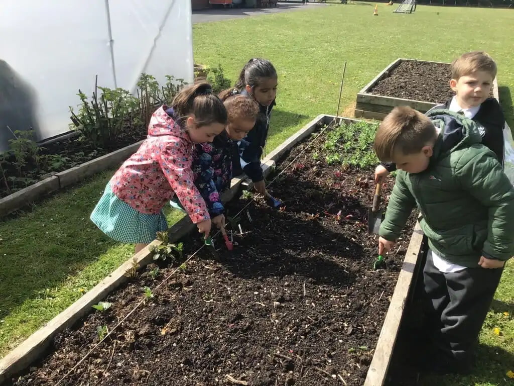 MicrosoftTeams Image 21