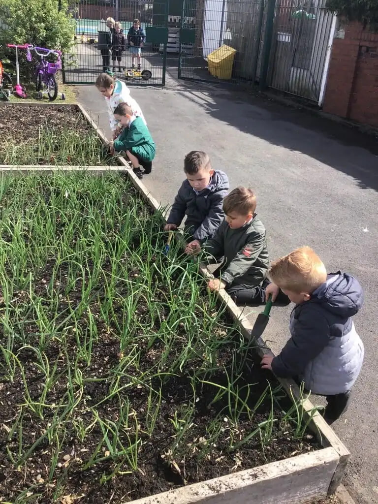 MicrosoftTeams Image 22