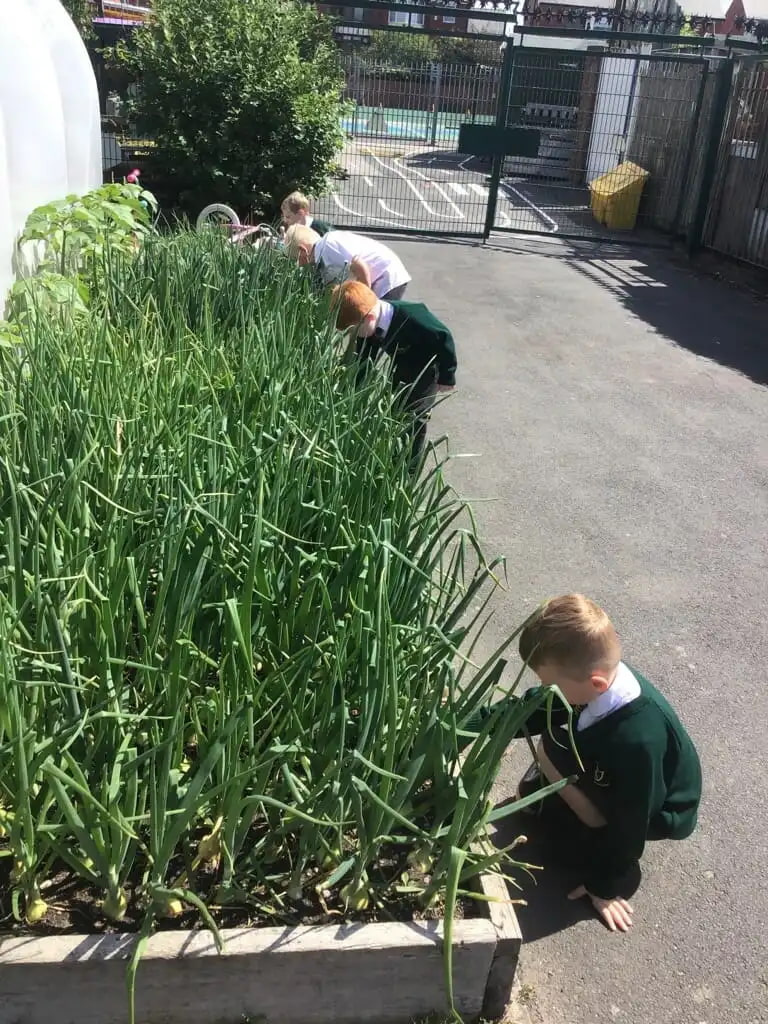 MicrosoftTeams Image 24