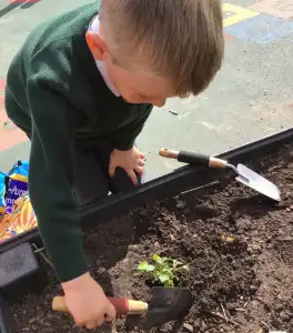 MicrosoftTeams Image 25