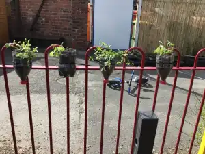 MicrosoftTeams Image 27