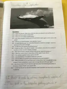 MicrosoftTeams Image 3 1