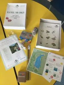 MicrosoftTeams Image 7