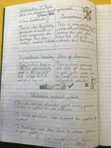 MicrosoftTeams Image 8 1