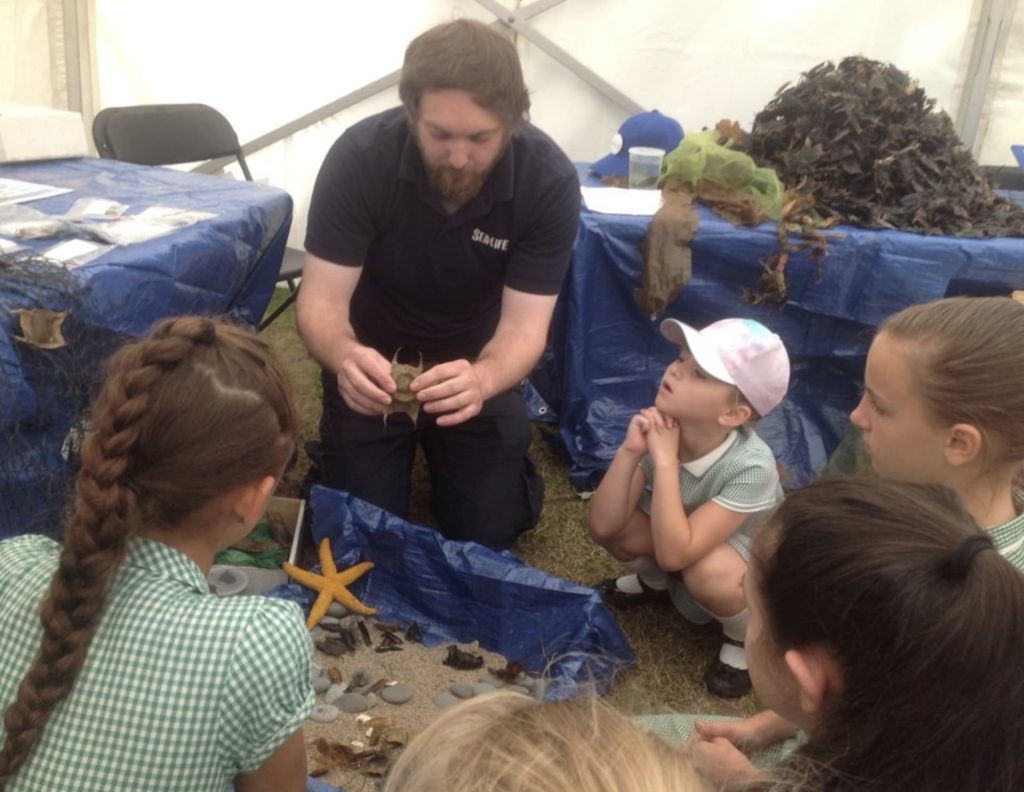 Screen Shot 2020 08 24 At 4.06.42 PM