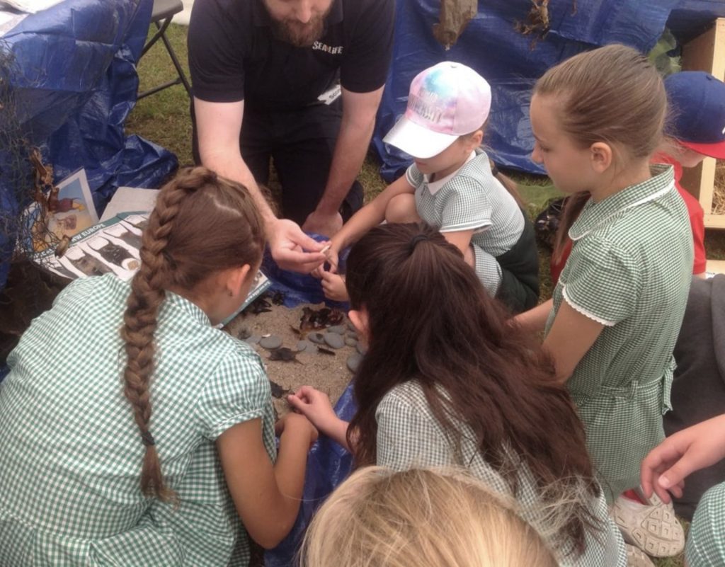 Screen Shot 2020 08 24 At 4.06.55 PM