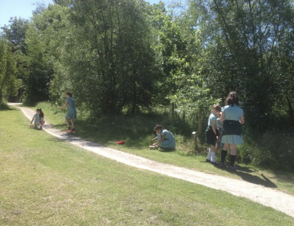 Screen Shot 2020 08 24 At 4.07.04 PM